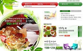 多彩網(wǎng)頁模板86661