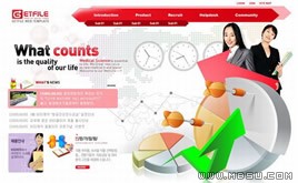 多彩網(wǎng)頁(yè)模板86676