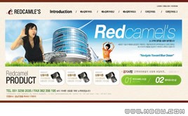 棕色網(wǎng)站模板88405