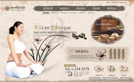 棕色網(wǎng)頁模板88461