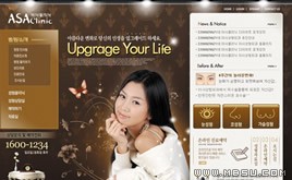 棕色網(wǎng)站模板88476