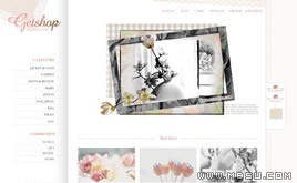 白色簡潔相冊網(wǎng)站模板87186