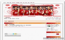 動網論壇模板_北京奧運風格