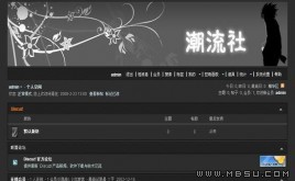 Discuz! 潮流社酷炫模板