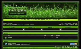 Discuz! 小草依依模板