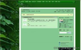 動網(wǎng)論壇 郁郁蔥蔥模板