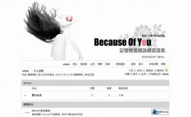 because風(fēng)格模板