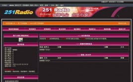 251RAIDO風(fēng)格模板