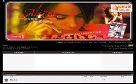 Discuz!AlizeeCn模板