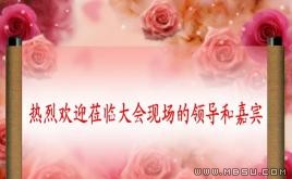 歡迎領(lǐng)導(dǎo)ppt模板