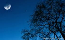 °鷱Ǆ(dng)B(ti)PPTģ