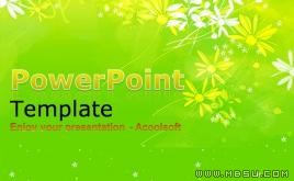 漂亮的寬屏花紋PPT模板