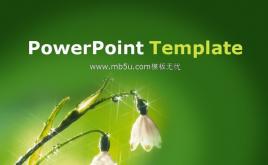 綠色鮮花背景PPT模板