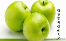 業(yè)務(wù)員培訓(xùn)PPT模板