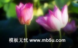 荷花背景PPT模板