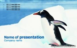 橙色立方體PPT模板