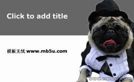 可愛狗狗PPT模板