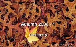 落葉PPT模板下載