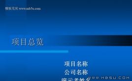 項(xiàng)目總覽PPT模板下載