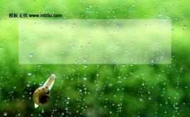 蝸牛背景ppt模板下載