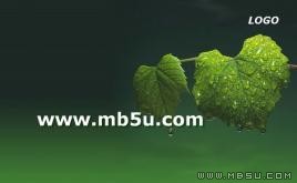 綠色葉子PPT模板下載