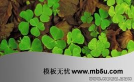 三葉草PPT模板下載