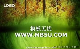 樹林風(fēng)景PPT模板下載