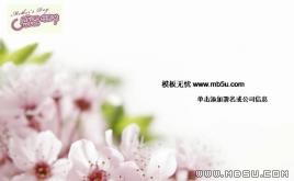 母親節(jié)PPT模板下載