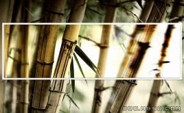 清雅竹趣PPT模板下載