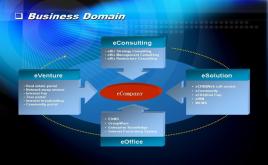 業(yè)務(wù)領(lǐng)域圖表ppt模板-4