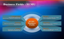 業(yè)務(wù)領(lǐng)域圖表ppt模板