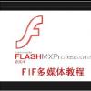 FIFСMFlash MX 2004ҕl̳̳T