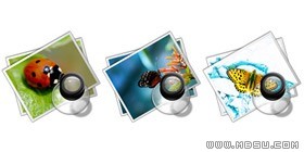 個性相片png圖標