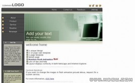 ThemeGallery 公司模板