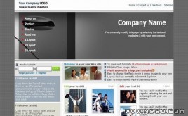 ThemeGallery 公司模板