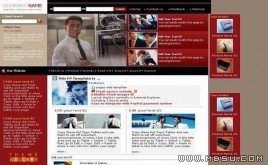 ThemeGallery 公司模板