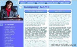 FXstyle 公司模板