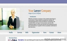 TemplateMonster 公司模板