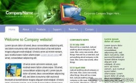 TemplateMonster 公司模板