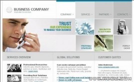 TemplateMonster 公司模板