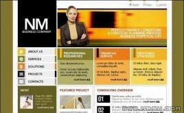 TemplateMonster ˾ģ