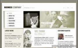 TemplateMonster 公司模板