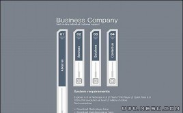 TemplateMonster 公司模板