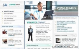 TemplateMonster 公司模板