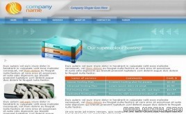 TemplateMonster 公司模板