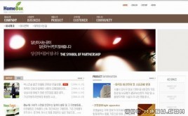 韓國(guó)公司模板