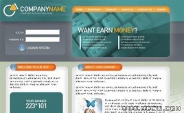 TemplateMonster 公司模板