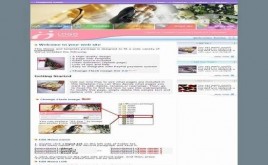 ThemeGallery Y(ji)ģ