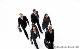 TemplateMonster ˲ģ