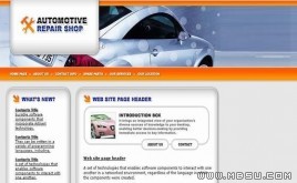 DesignEmpire 汽車模板